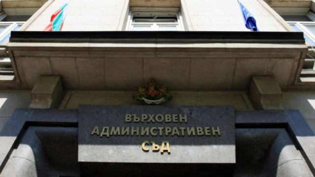 Мариника Чернева се е съгласила да оглави ВАС